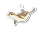 piro piro piccoloのjumping duckling C アクリルキーホルダー