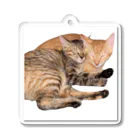 ChoboTora24の眠り猫ちゃん達 Acrylic Key Chain