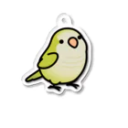 Cody the LovebirdのChubby Bird オキナインコ Acrylic Key Chain