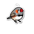 Cody the LovebirdのChubby Bird キンカチョウ Acrylic Key Chain