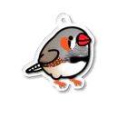 Cody the LovebirdのChubby Bird キンカチョウ Acrylic Key Chain