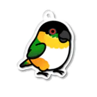 Cody the LovebirdのChubby Bird ズグロシロハラインコ アクリルキーホルダー