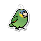 Cody the LovebirdのChubby Bird キソデボウシインコ アクリルキーホルダー