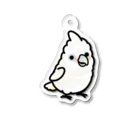 Cody the LovebirdのChubby Bird シロビタイムジオウム Acrylic Key Chain