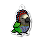 Cody the LovebirdのChubby Bird ヒオウギインコ Acrylic Key Chain