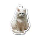 zakitamaのうちのしどちゃん Acrylic Key Chain