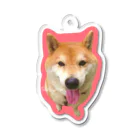 Chikaのｼﾊﾞｲﾇのｻｸﾗ Acrylic Key Chain