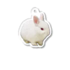 ふゆじかん/chamのベビふゆちゃん Acrylic Key Chain