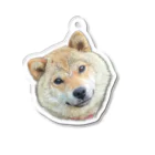 33/96の柴犬まる子(夏毛/首かしげ) Acrylic Key Chain