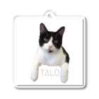 ハチワレ猫のタロのTALO Acrylic Key Chain