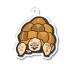 カメまる子🐢のギリ太くん(怒vr) アクリルキーホルダー