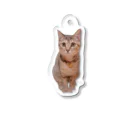 miy＊jamminのvivimvaちゃん Acrylic Key Chain