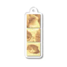 MolKaronの猫のＭｏｌとＫａｒｏｎ　虹の橋をわたった君へ Acrylic Key Chain