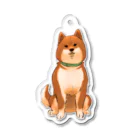 ちゃちゃまるふどーさんのおすわり柴くん Acrylic Key Chain