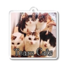GreenLifezのTeam Cat Acrylic Key Chain