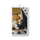 うちのねこ＆いぬのねことお気に入りのオモチャ Acrylic Key Chain