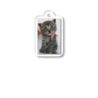 JacksanのDinah the cat Acrylic Key Chain