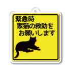 紅天本舗の猫救助願います＊黄色＊１ Acrylic Key Chain