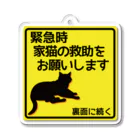 紅天本舗の猫救助願います＊黄色＊3 Acrylic Key Chain