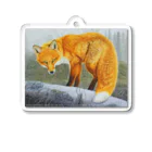 アラスカ野生動物画家きむらけいの赤狐 Acrylic Key Chain
