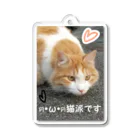 ルキちゃの猫派です グッズ アクリルキーホルダー