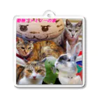 うさぎのマルチの動物ファミリーの家グッズ Acrylic Key Chain