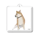 maaaaayaの柴犬 Acrylic Key Chain