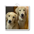 Golden Retriever Sarah&TaroのGolden Retriever Sarah&Taro3 アクリルキーホルダー