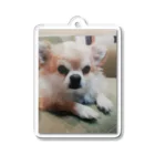 NUTSのNUTS Acrylic Key Chain