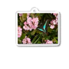 ポップコーンのアゲハ蝶 アクリルキーホルダー