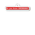 【BOWZ】RAリックアッガイの表裏デザインアロワナって知ってる？　by RA Acrylic Key Chain