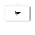 ニコ…🦆の疾走する鳩（背景白） Acrylic Key Chain