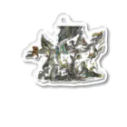 VilliamのVaranus_オオトカゲ（35種） Acrylic Key Chain