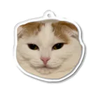 きなこ企画の愛猫きなこのオリジナルグッズ Acrylic Key Chain