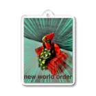 ayatospetrovのnew world order  Acrylic Key Chain