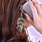 癒しわんこ🐶のチラ見トイプードル Acrylic Key Chain