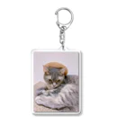 くまのいえの猫の日常 Acrylic Key Chain