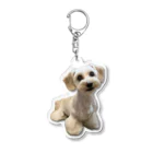 HAPPYDOG kamakuraのれもんアクスタ Acrylic Key Chain