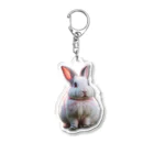 kawachi-sanのusagi Acrylic Key Chain