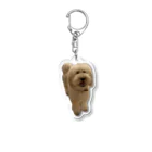 モフモフ犬のトゥトゥのトゥトゥ1 Acrylic Key Chain