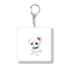 ちいさき家族スキ　Maltese ♡のだってマルチーズだもん　素 Acrylic Key Chain