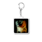 おむつ猫とびちゃんのぢっとおやつを見る猫 Acrylic Key Chain