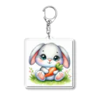 ぷっくりショップのうさかわいい Acrylic Key Chain