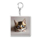 ks-staffの😺癒し猫シリーズ💖 Acrylic Key Chain