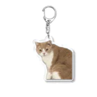 Mashlyのマシロくん猫グッズ Acrylic Key Chain