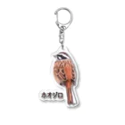 アニマル四字熟語のホオジロ　日本の野鳥　ワンポイントデザイン Acrylic Key Chain