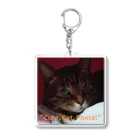 yuo1040yamato Soraの"cute. Cat. Ponta!" Acrylic Key Chain