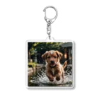 mamekichi445の水遊び楽しむ子犬くん Acrylic Key Chain