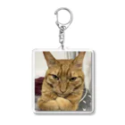 ミシン工房Mayの猫好きトラくんのキーホルダー Acrylic Key Chain