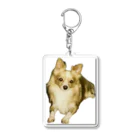 ゲドテコデータプールセンターの犬1号 Acrylic Key Chain